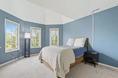 Other - 13218 Lakepoint Dr, Plainfield, IL 60585 photo 6 of 17