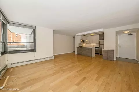 Living - 33 E Cedar St #3D, Chicago, IL 60611 photo 5 of 9
