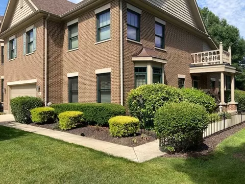 21709 Cappel Ln, Frankfort, IL 60423