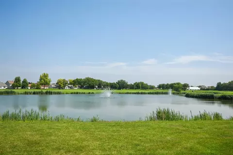 21551 W Larch Dr, Plainfield, IL 60544 photo 27