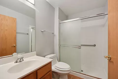 21551 W Larch Dr, Plainfield, IL 60544 photo 17
