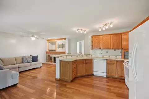 21551 W Larch Dr, Plainfield, IL 60544 photo 8