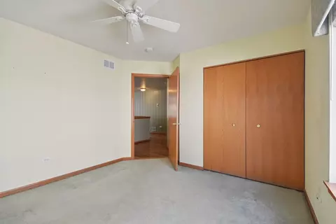 21551 W Larch Dr, Plainfield, IL 60544 photo 16
