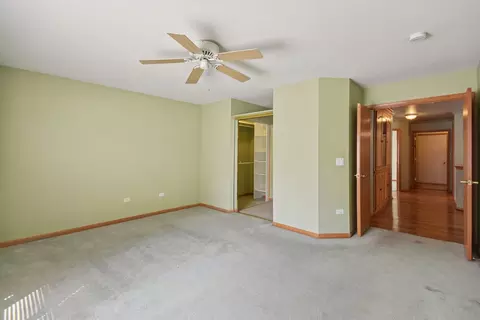 21551 W Larch Dr, Plainfield, IL 60544 photo 11