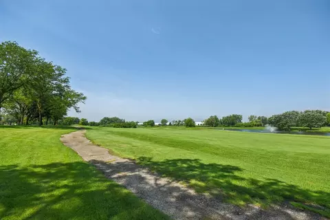 21551 W Larch Dr, Plainfield, IL 60544 photo 28