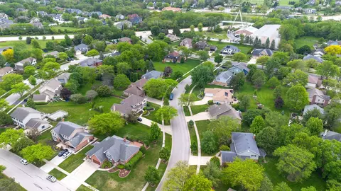 View/Area - 172 Hamilton Ave, Frankfort, IL 60423 photo 4 of 4