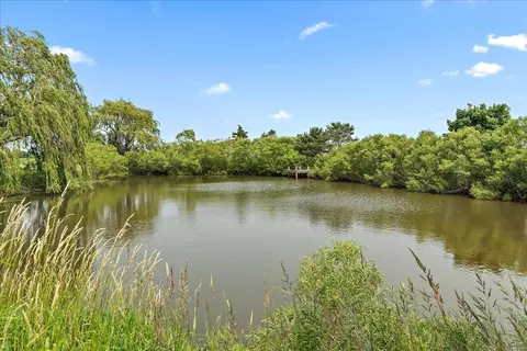 View/Area - 27425 S Steven Ray Dr, Monee, IL 60449 photo 4 of 7