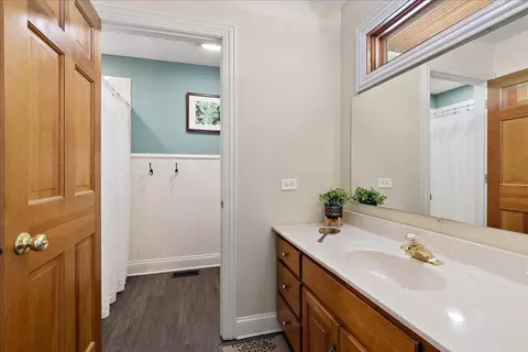 Bath - 27425 S Steven Ray Dr, Monee, IL 60449 photo 1 of 4