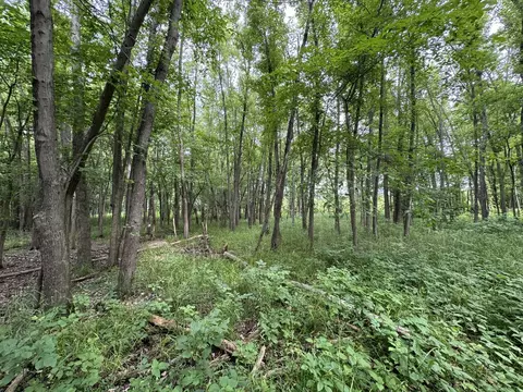 0 Fairview Rd, Freeport, IL 61032 photo 35