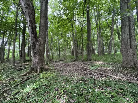 0 Fairview Rd, Freeport, IL 61032 photo 38
