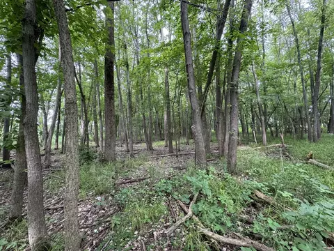 0 Fairview Rd, Freeport, IL 61032 photo 34