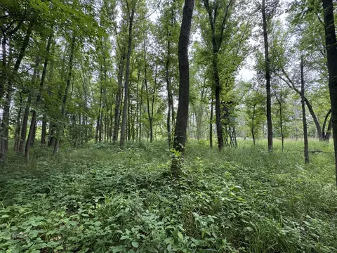 0 Fairview Rd, Freeport, IL 61032 photo 36