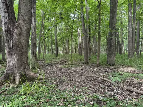 0 Fairview Rd, Freeport, IL 61032 photo 37