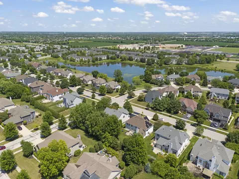 12136 Winterberry Ln, Plainfield, IL 60585 photo 42