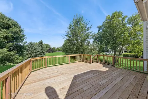 12804 Stellar Ln, Plainfield, IL 60585 photo 32