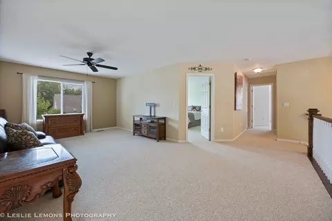 21519 W Chestnut Ln, Plainfield, IL 60544 photo 15