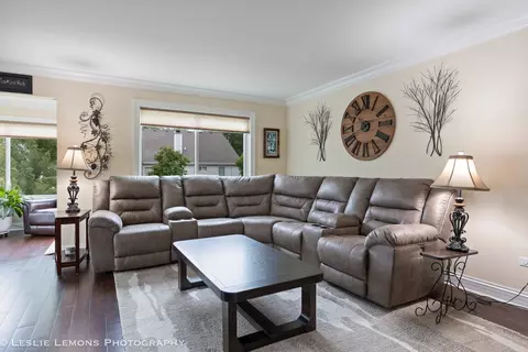 21519 W Chestnut Ln, Plainfield, IL 60544 photo 7