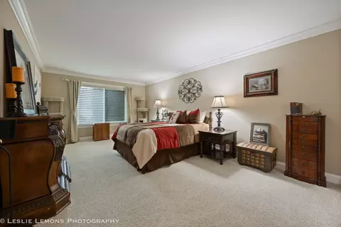 21519 W Chestnut Ln, Plainfield, IL 60544 photo 10