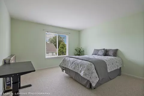 21519 W Chestnut Ln, Plainfield, IL 60544 photo 17