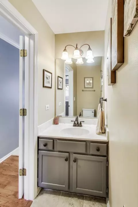 Bath - 1113 Deep Woods Dr, Elgin, IL 60120 photo 1 of 4