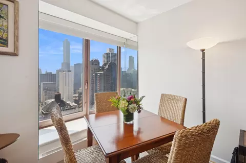 161 E Chicago Ave #29DE, Chicago, IL 60611 photo 22