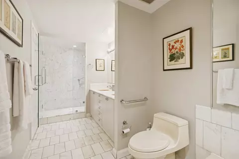 161 E Chicago Ave #29DE, Chicago, IL 60611 photo 15