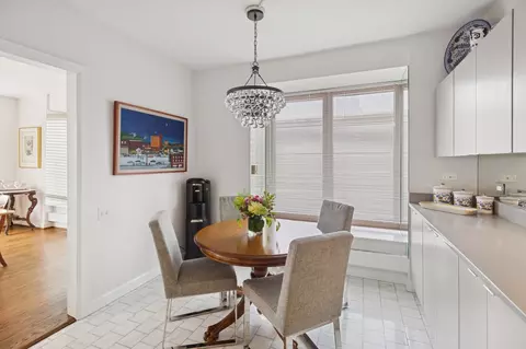 161 E Chicago Ave #29DE, Chicago, IL 60611 photo 9