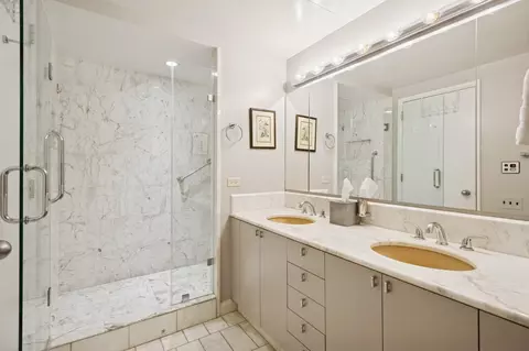 161 E Chicago Ave #29DE, Chicago, IL 60611 photo 14