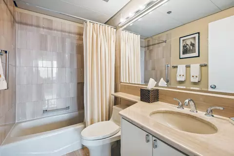 161 E Chicago Ave #29DE, Chicago, IL 60611 photo 18