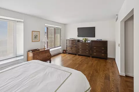 161 E Chicago Ave #29DE, Chicago, IL 60611 photo 12