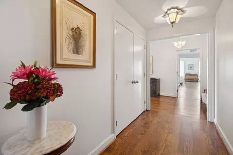 161 E Chicago Ave #29DE, Chicago, IL 60611 photo 5