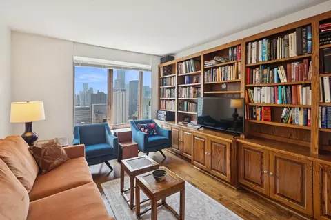 161 E Chicago Ave #29DE, Chicago, IL 60611 photo 16