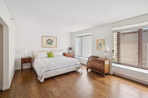 161 E Chicago Ave #29DE, Chicago, IL 60611 photo 11