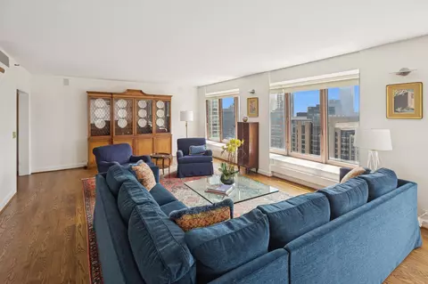161 E Chicago Ave #29DE, Chicago, IL 60611 photo 3