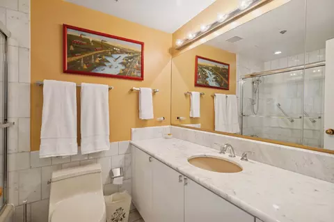 161 E Chicago Ave #29DE, Chicago, IL 60611 photo 23
