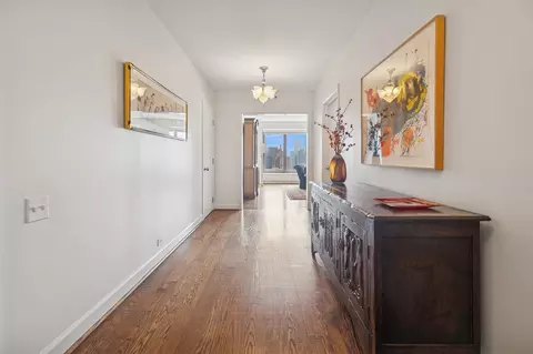 161 E Chicago Ave #29DE, Chicago, IL 60611 photo 4