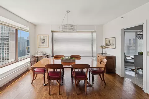 161 E Chicago Ave #29DE, Chicago, IL 60611 photo 6