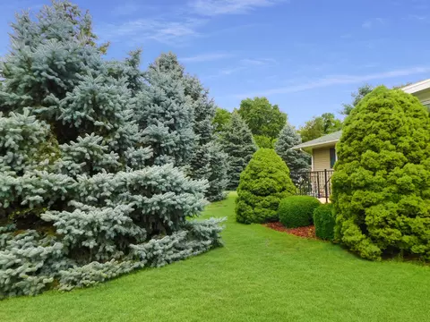 5874 Ada Dr, Roscoe, IL 61073 photo 38