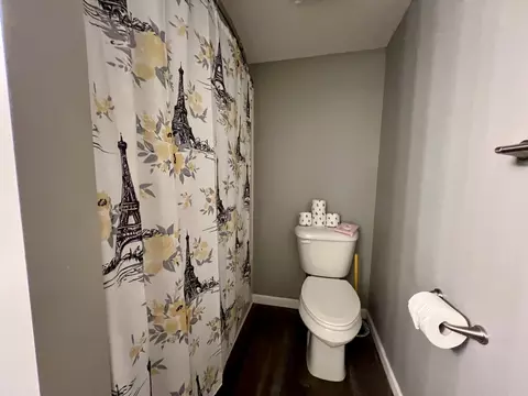 206 E High St, White Heath, IL 61884 photo 32