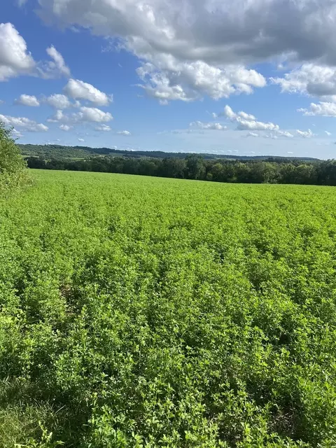 000 S Rush Creek Rd, Stockton, IL 61085