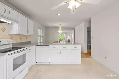 1200 Downing Dr, Hoffman Estates, IL 60192 photo 12