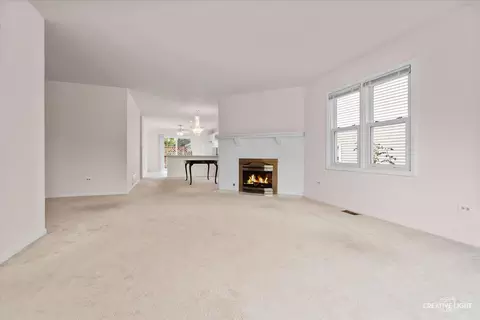 1200 Downing Dr, Hoffman Estates, IL 60192 photo 5