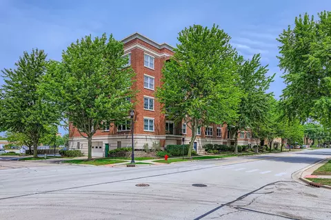 104 N Plum Grove Rd #203, Palatine, IL 60067