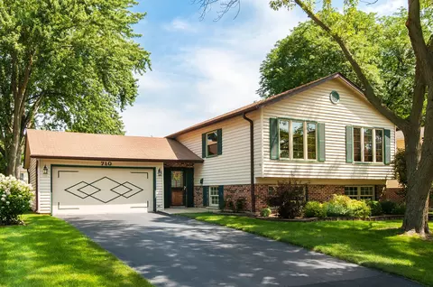 710 W Burning Tree Ln, Arlington Heights, IL 60004