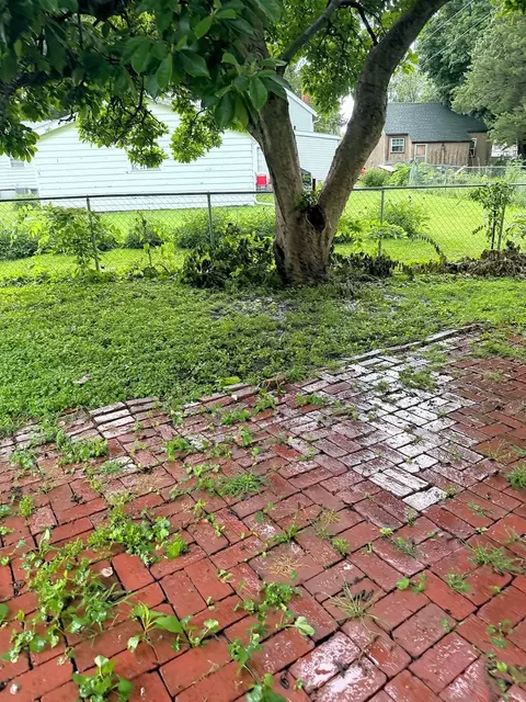 Exterior - 721 Broadway Ave, Sterling, IL 61081 photo 5 of 6