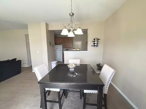23927 Mcmullin Cir, Plainfield, IL 60586 photo 8