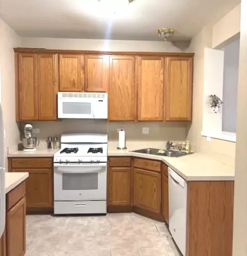 23927 Mcmullin Cir, Plainfield, IL 60586 photo 15