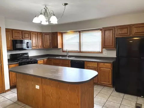 16101 Debra Dr, Oak Forest, IL 60452 photo 8