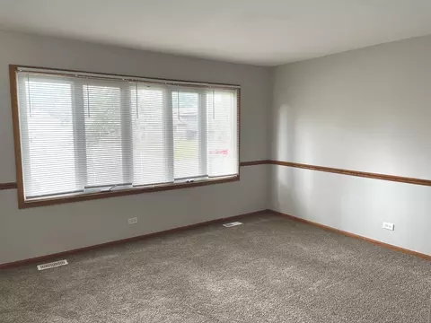 16101 Debra Dr, Oak Forest, IL 60452 photo 15
