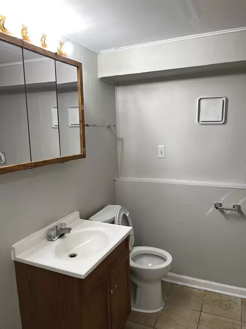 16101 Debra Dr, Oak Forest, IL 60452 photo 17